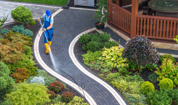 Best Local Pressure Washing Services  in Mount Vernon, KY